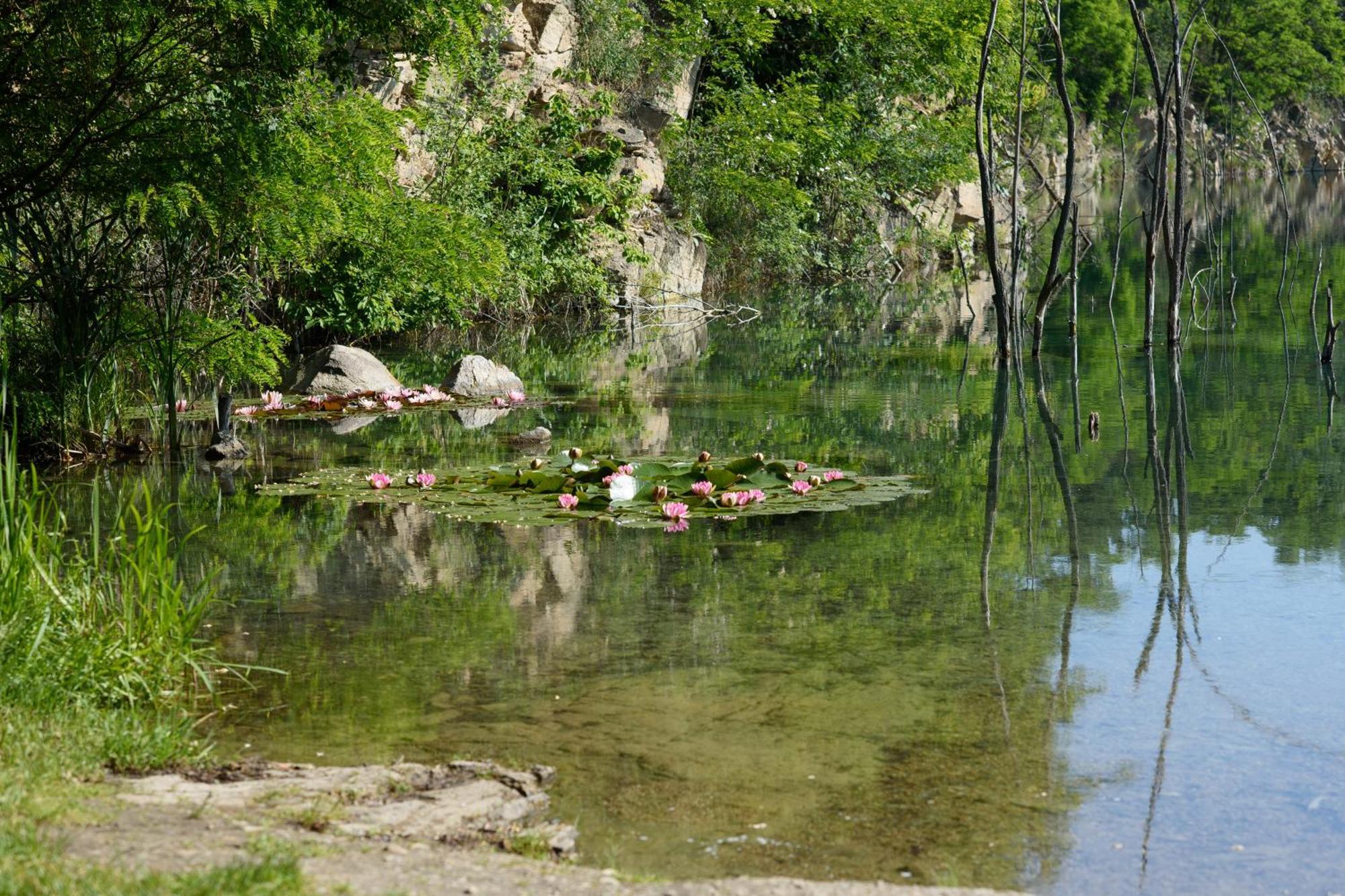 Apartman Mloci Udoli • Podyji Znojmo Bagian luar foto